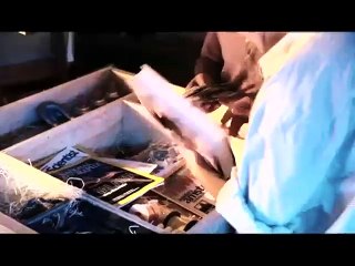 L&#039;île de Nim VF