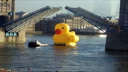 Bridge Crossing Sound Effect