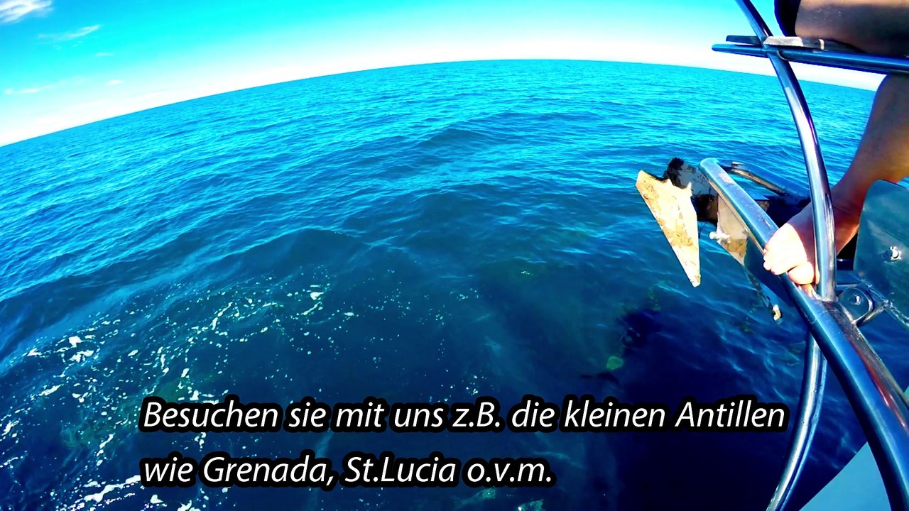 Mitsegeln auf der Privatsegelyacht S.Y.Scorpio für Ihren Traumurlaub in der Karibik