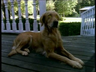 Chair de Poule - La Maison Des Morts - Partie 2