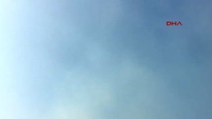 İzmir Seferihisar'da Orman Yangını