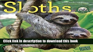 Read Sloths Wall Calendar 2017 Ebook Free