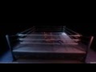 Pro Wrestling X on steam there is no sound at this