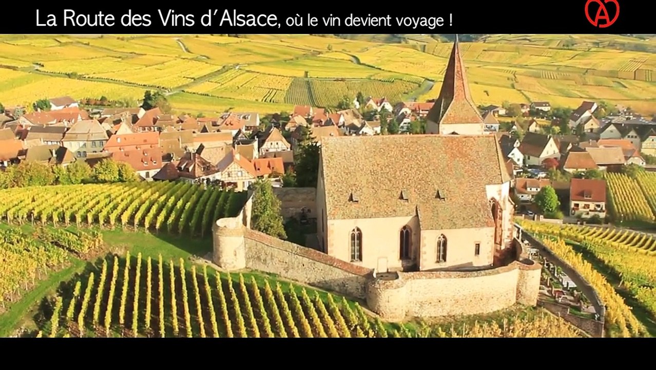 vins d'Alsace