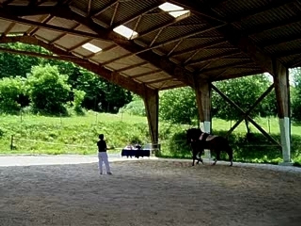 Voltige équestre  Anne sur Carlos-2007