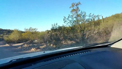 Secourir un animal assoiffé dans le désert