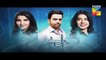 Dil E Beqarar Episode 17 Promo HUM TV Drama 3 August 2016