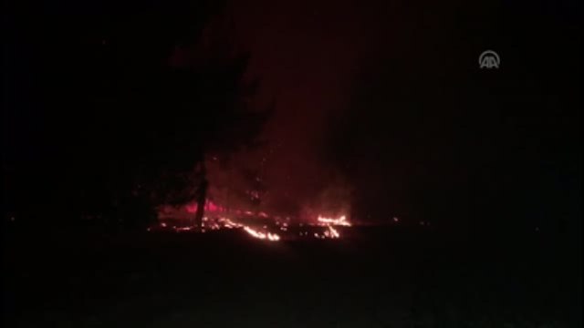 Ormanlık Alanda Henüz Belirlenemeyen Nedenle Yangın Çıktı