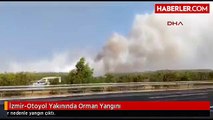 İzmir-Otoyol Yakınında Orman Yangını