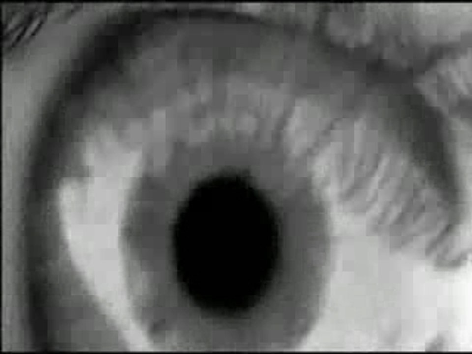 Visu imotek