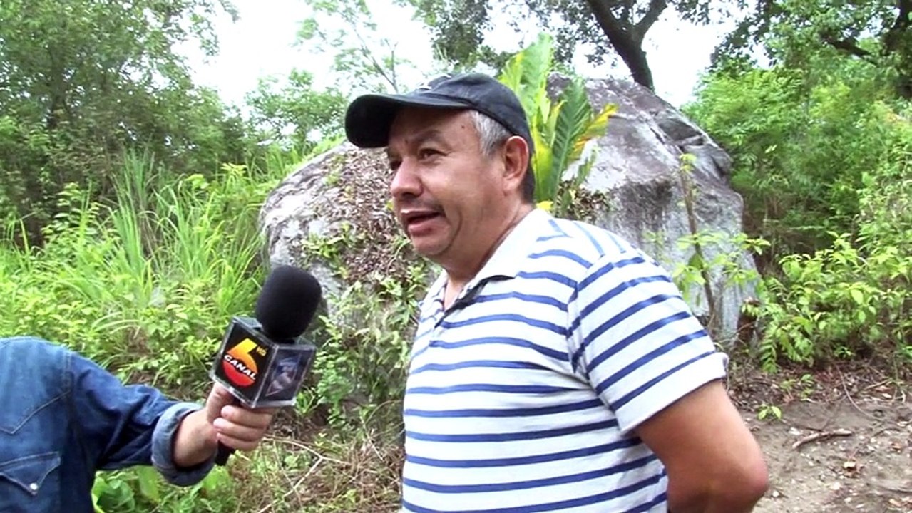 Un Crimen!! Proyecto Ciudad Maya y Bosques Cuidad Verde