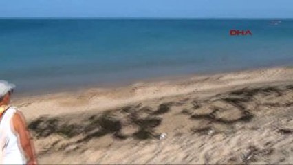 Sinop Genç Kadın, Serinlemek İçin Girdiği Denizde Kayboldu
