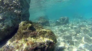 Snorkeling - Voulisma (Crête) - Octobre 2015