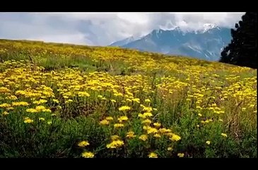 Pakistan Beauty-Most Beautiful Place of pakistan