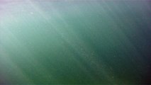 Apneia, navegados, navegando nas ondas e ilhas da Praia da Enseada, Ubatuba, SP, Brasil, Marcelo Ambrogi, vida marinha, 4k, ultra HD, (24)