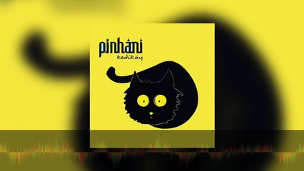 Pinhani - Dur Söyleme