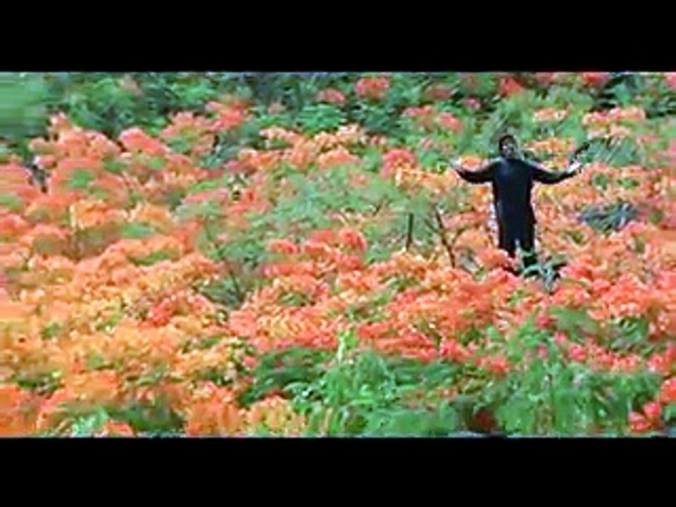 Dil mere tu Dewana hai