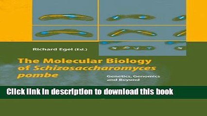 Books The Molecular Biology of Schizosaccharomyces pombe: Genetics, Genomics and Beyond Free