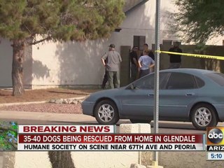 Dogs being rescued from home in Glendale