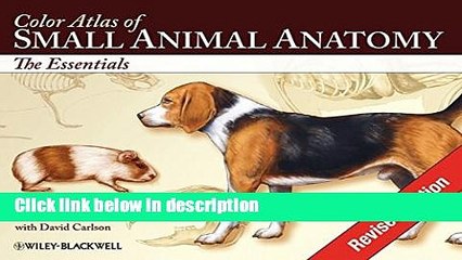 Ebook Color Atlas of Small Animal Anatomy: The Essentials Full Download