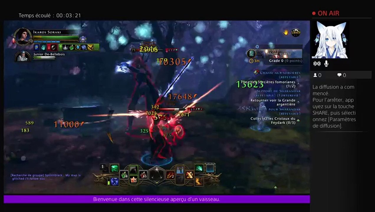 Neverwinter fr (15)