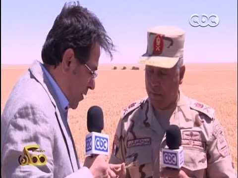 ممكن | تعرف على محصول القمح الجديد في مشروع المليون ونصف مليون فدان بـ الفرافرة