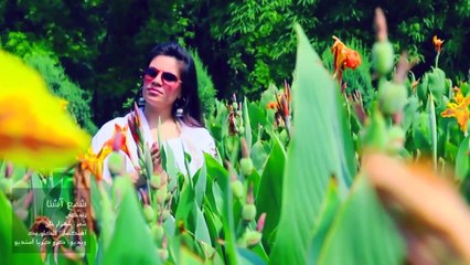 Shama Ashna - Zindagi