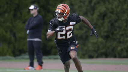 Morrison: Injuries Won't Derail Bengals