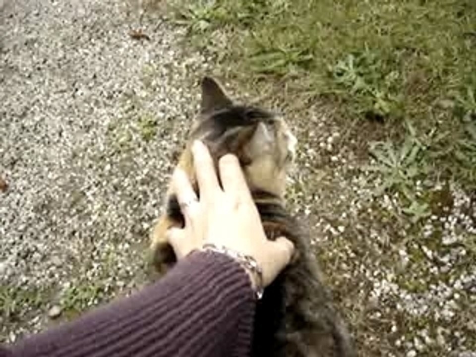 Rencontre