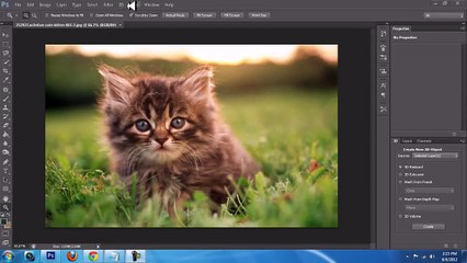 Photoshop   Oil Paint Tutorial [ Effect ]