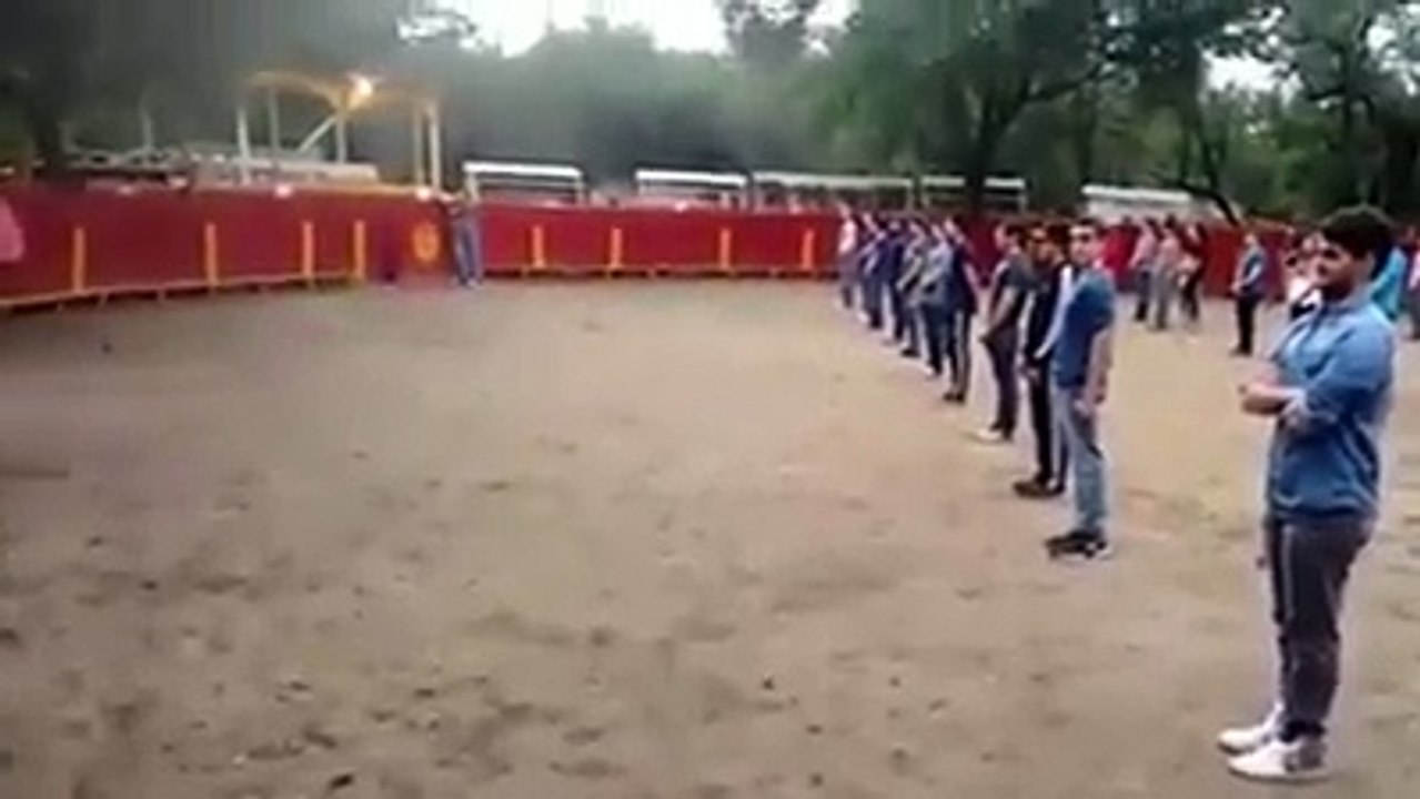 Un Gruppo Di Ragazzi Attende Immobile Nell'Arena: Quando Entra Il Toro, La Reazione è Sorprendente