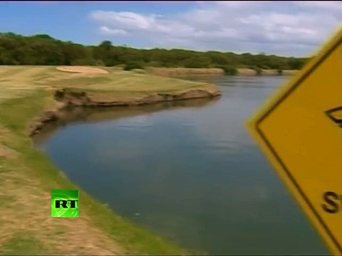 Killer sharks invade.. -golf course in Australia