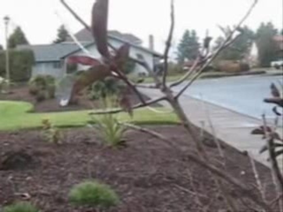 Police Chases Of The P&W Ep.2 (Mini)