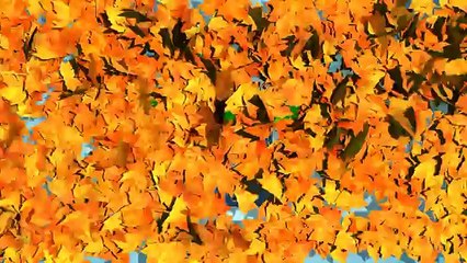 Era Troppo Terrorizzato Per Lasciarli Avvicinare, Ma La Loro Carezza Ha Un Effetto Miracoloso