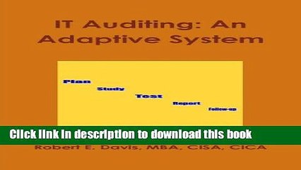 PDF  IT Auditing: An Adaptive System  Online