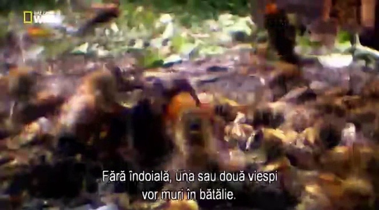 Animale de groază