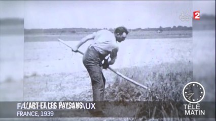 Art et agriculture, un mélange des plus étonnants !