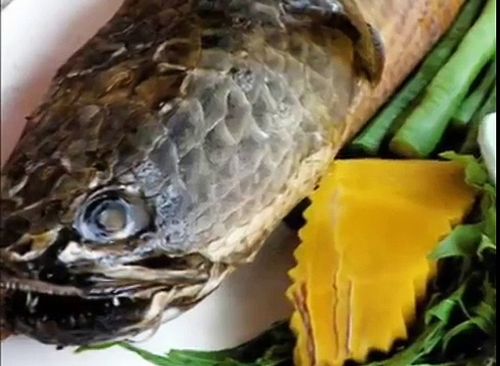 رازهای زندگی خامنه ای. فیلمی از محسن مخملباف . secrets of khamenei