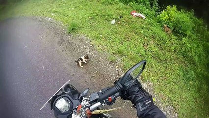 Found this cute puppies abandoned during one of my ride !