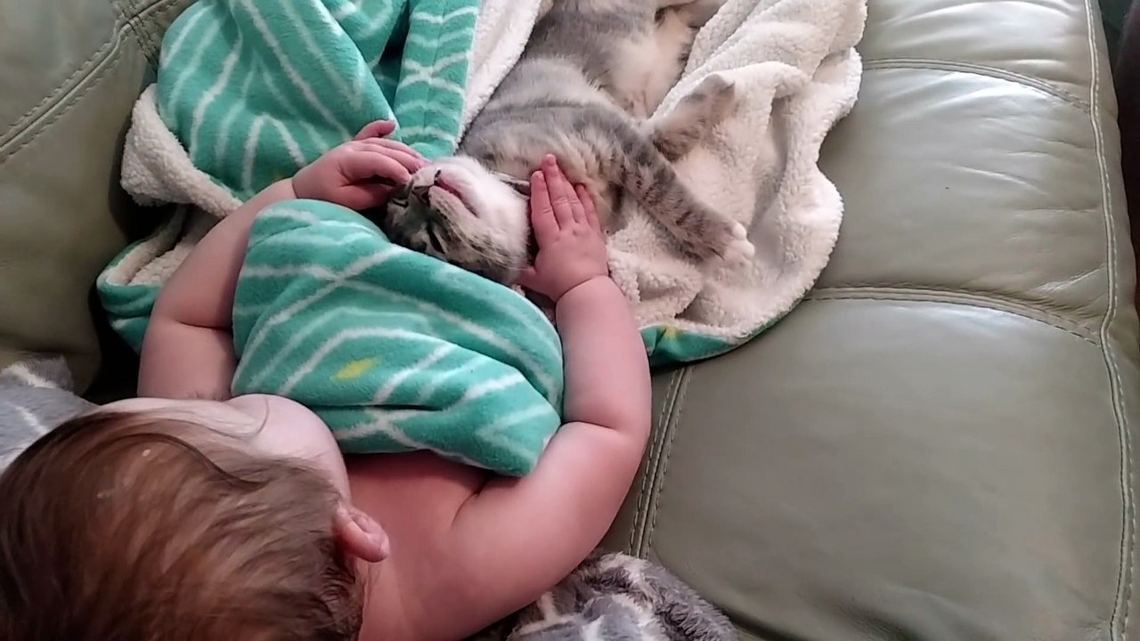 Un Bebe Et Un Chaton Font La Sieste Trop Trop Mignon Video Dailymotion