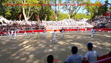 BEAUCAIRE-Taureau CHICO de manade LAUTIER B.-Finale Palme d'or-2016-08-01-DAILYMOTION