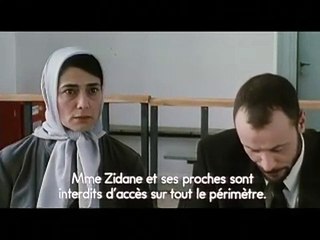 Les citronniers VOST- Ext 3