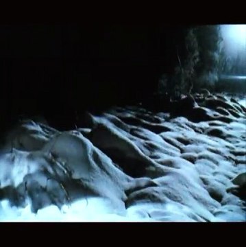 The X-Files: Regeneration VF (2)