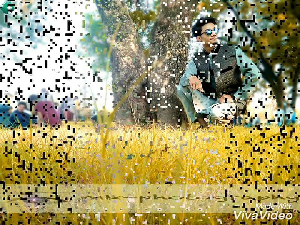 viva video