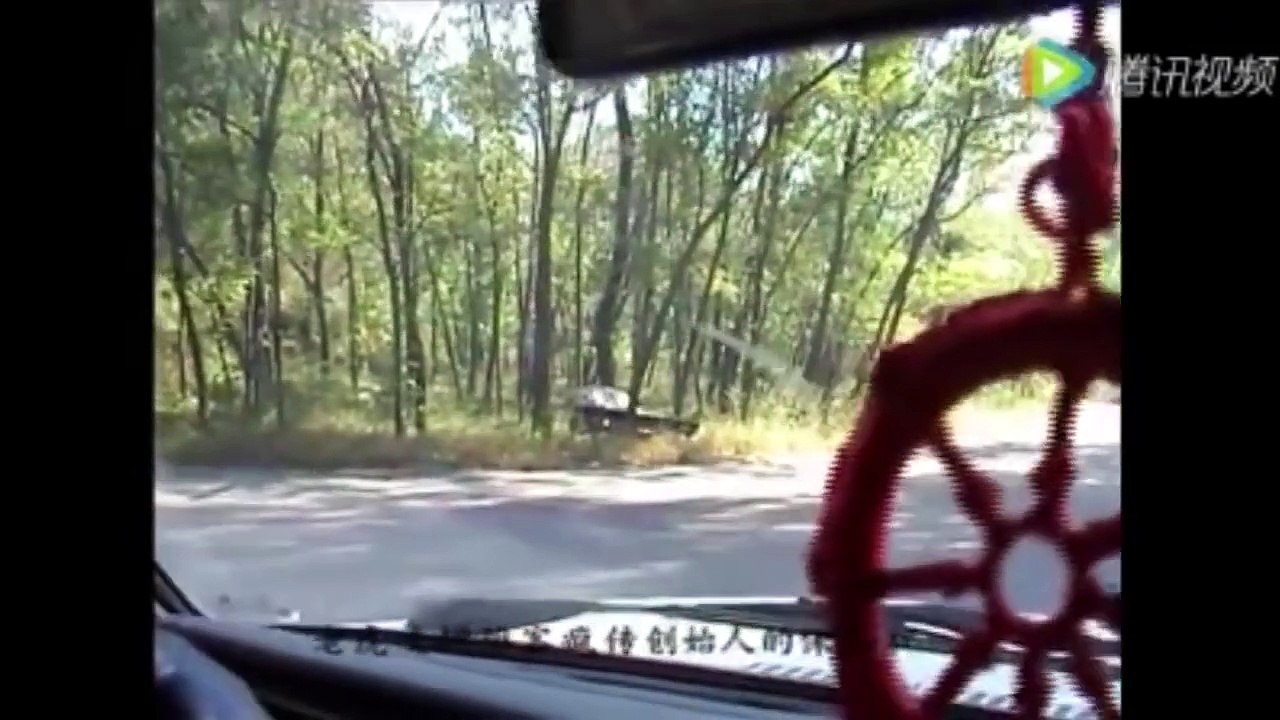 Un tigre voleur de pare-chocs