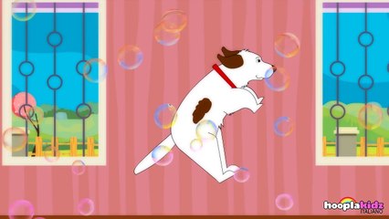 I Have A Little Turtle - Io Avere La Piccolo Tartaruga