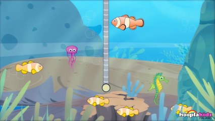 Sailor Went To Sea - Sailor Andati In Un Mare