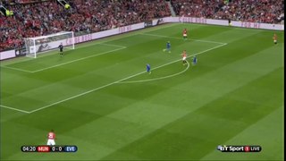 Manchester United vs Everton Highlights & Full Match Video Goals