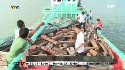 Thủ đoạn mới buôn lậu gỗ trắc qua biên giới