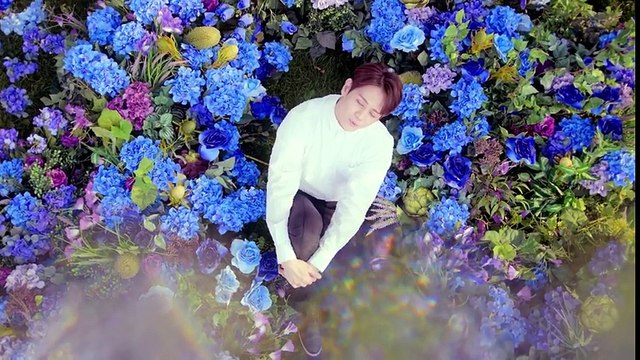 BEAST(비스트) - Butterfly MV